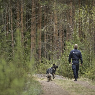 Polis Ari Pynssi med polishunden Cama går längs en skogsväg