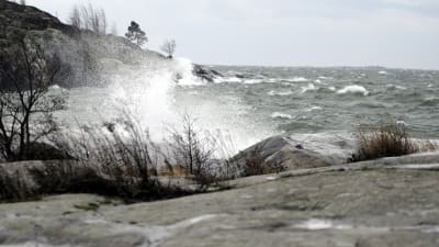 Storm till havs