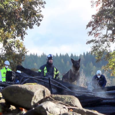 Polishundar i utredningen av branden i Kiihtelysvaara kyrka.