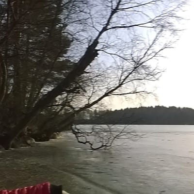 Bettina Sågbom på skridskotur.