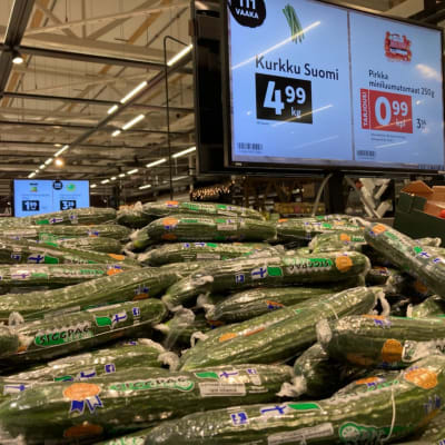 Suomalaista kurkkua myynnissä K-Citymarket Ideaparkissa Seinäjoella 4,95 euron kilohinnalla.