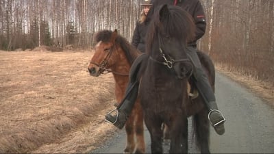 Ryttare till häst