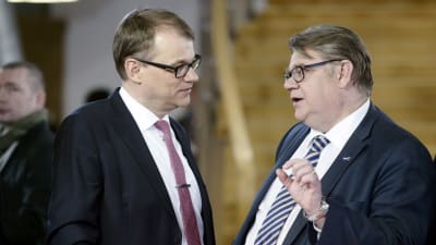 Juha Sipilä, Timo Soini