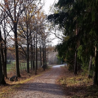 Mälikkälänmetsän virkistysalue syksyn väreissä