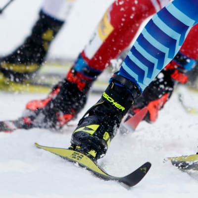 Photo of ski racers' legs on a snowy track, featuring the All Points North podcast logo.