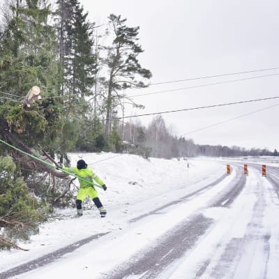 Röjning av stormskador över ellinjer på Åland