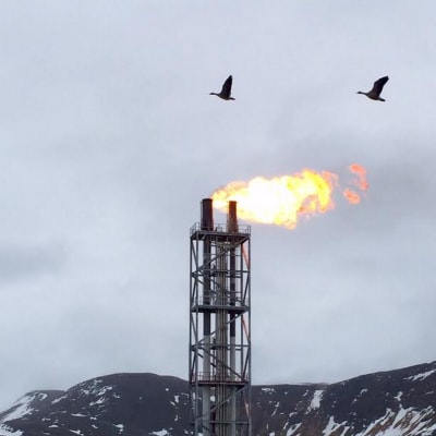 LNG kaasujalostamon liekit Hammerfestissa Norjassa.  