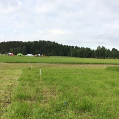 Etelä-Savon peltopäivässä, joka järjestettiin Karilan tutkimuspelloilla Mikkelin Rantakylässä.