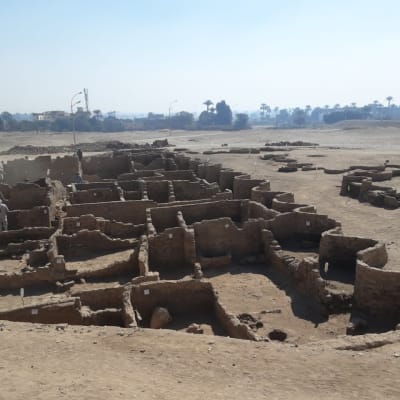 Fynd från egyptisk utgrävning