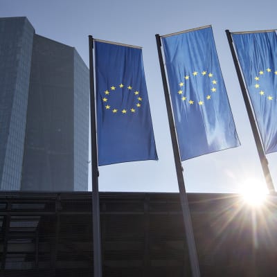EU -liput liehuvat keskuspankin edustalla Frankfurtissa. 