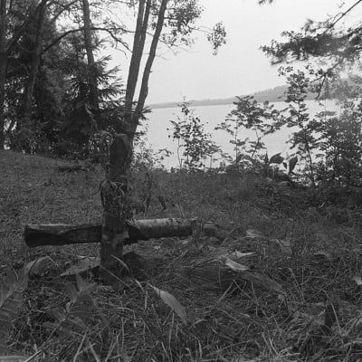 Bild på näset där tre ungdomar mördades år 1960 vid Bodom träsk i Esbo. Mordplatsen 1970.