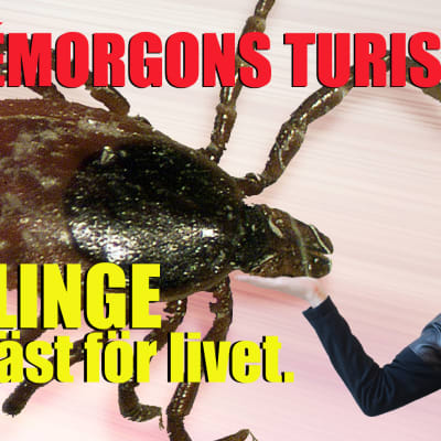 Reklam för Kumlinge.