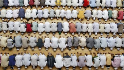 Muslimska män fotade uppifrån under fredagsbönen.