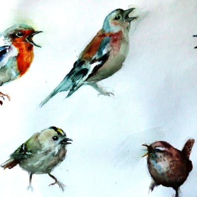 Erilajisia lintuja Minna Pyykön maalaus