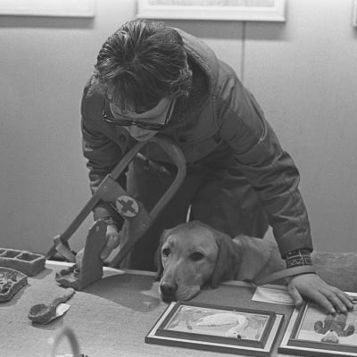 Synskadad med ledarhund, 1960