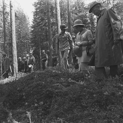 Englannin kuningatar Elisabet II ja prinssi Philip virallisella vierailulla Suomessa. Käynti Haukanmaan metsätyökeskuksessa, Elisabet II seurueineen kävelemässä metsässä.