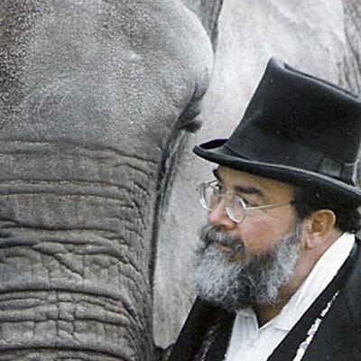 En lycklig elefant