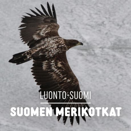 Luonto-Suomi