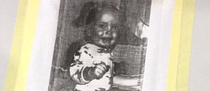 Tigerbalsambild