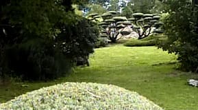 Skulpturala former