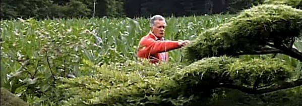 Erik Borja i sin trädgård
