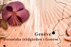 Den botaniska trädgården i Genève