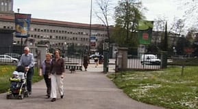 Trädgårdsbilder