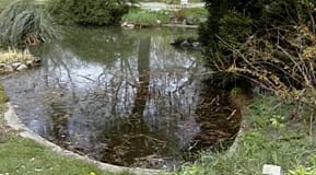 Trädgårdsbilder