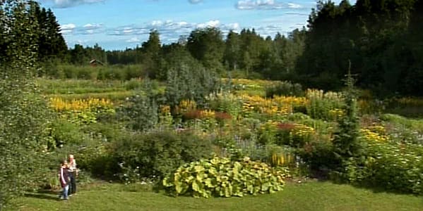 Hans Bonde-Jensens paradis i Kurkimäki, Kuopio