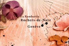 La Rambertia i Montreux