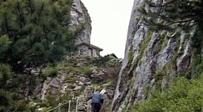 Trädgårdsbilder