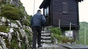 Trädgårdsbilder