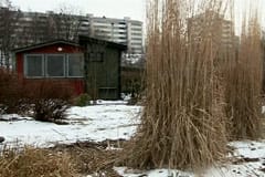Vintern hänger ännu kvar