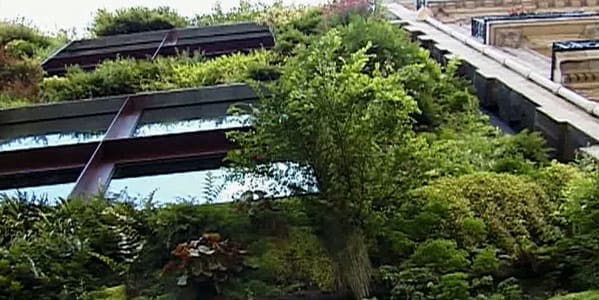 Den vertikala trädgården