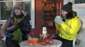 Lotta och Anne betraktar glatt alla fåglar som kommer för att äta
