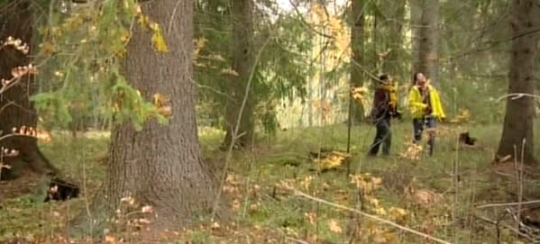 Granskog