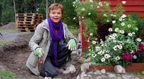 Susanna väljer stenar
