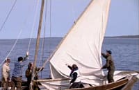 Den hundraåriga fälbåten