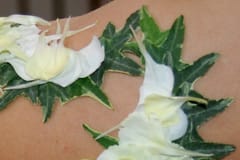 Blombladen fästs