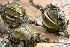 Torkade limefrukter som dekorationer