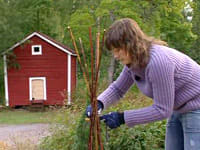 Catharina binder ihop videpinnar