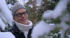 Jim i julgransskogen