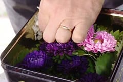 Stick i blommor och de annat material