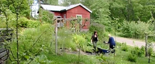 Wivan och Milji i trädgårdsarbete