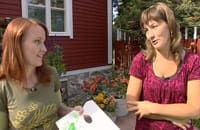 Lee och Catharina planerar sina målningar