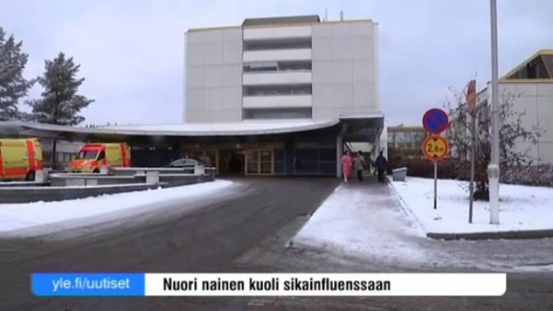 H1n1 Huhut Leviävät Netissä Yle Areena