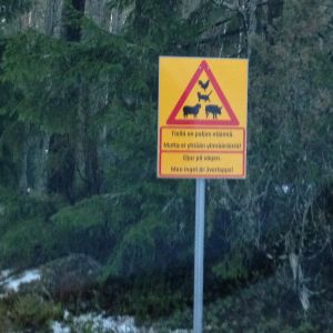 När man kör till hittedjurshemmet möts man av en vägskylt som varnar för djur på vägen. en hemgjord trafikskylt varnar för att det finns många djur på gården. "Djur på gården, men ingen är överlopps"