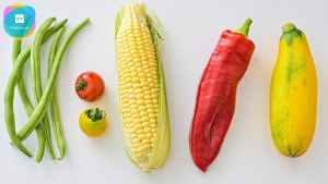 Bönor, tomater, en majskolv, en paprika och en gul pumpa.