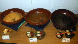 Skålar med olika sorters miso. Tre skålar med japansk misopasta av sojabönor.