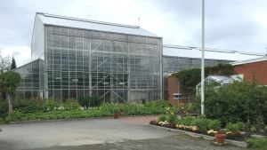 Opiskella ruotsiksi Opiskella ruotsiksi